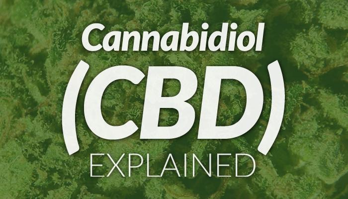 CBD Beginners Guide