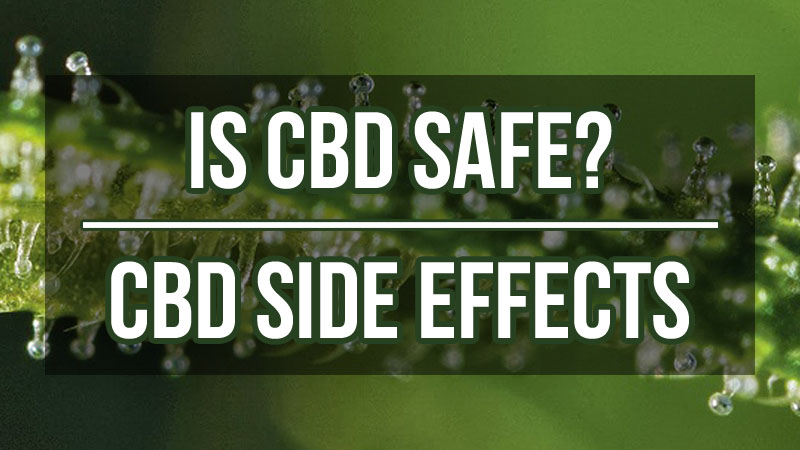 Negative Side Effects of CBD