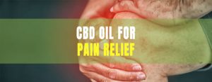 cbd oil for pain relief