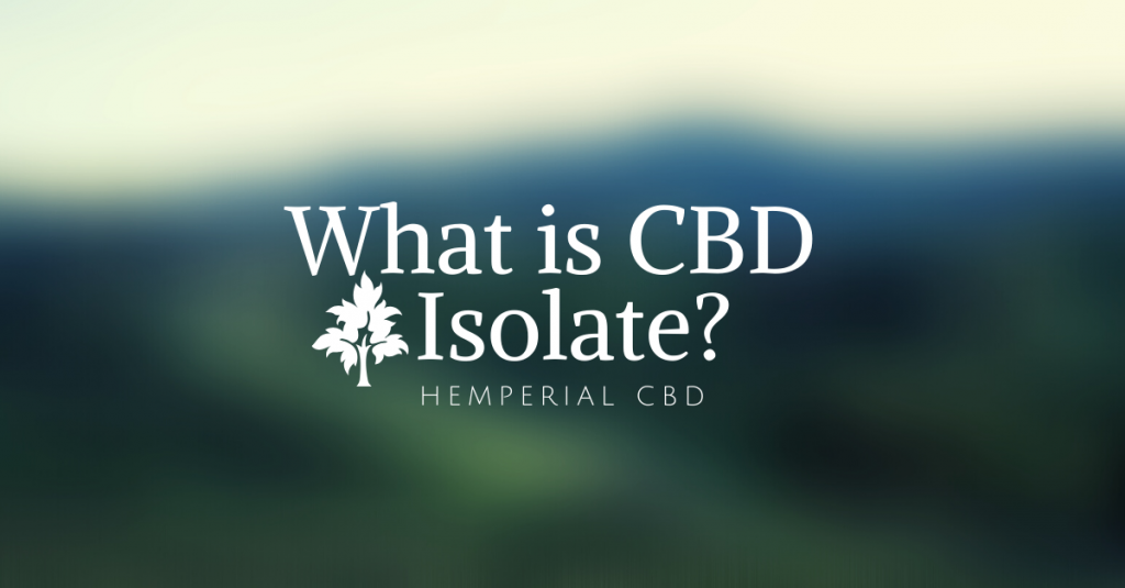 What is CBD Isolate and how do you use it