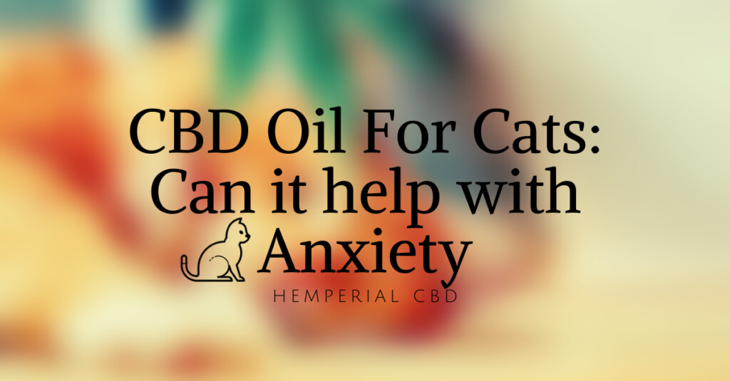 cbd for cats