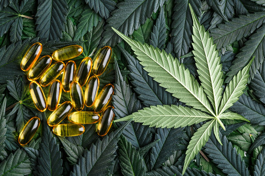 CBD Oil or CBD Capsules?