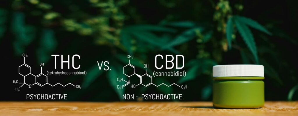 CBD vs THC