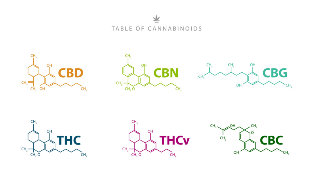 Cannabinoids CBD vs. CBG, CBDA, CBN, CBC, and CBDV Differences