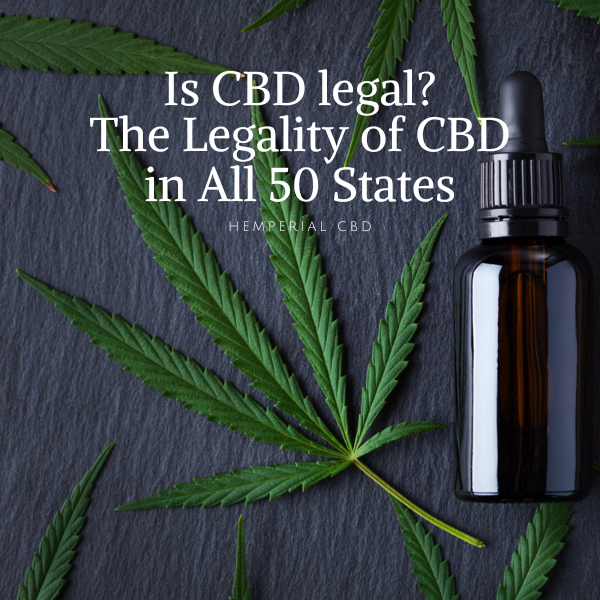 Is CBD legal? The Legality of CBD in All 50 States