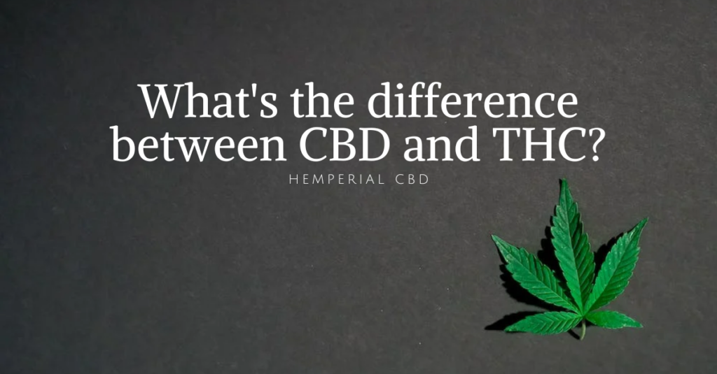 What's the difference between CBD and THC