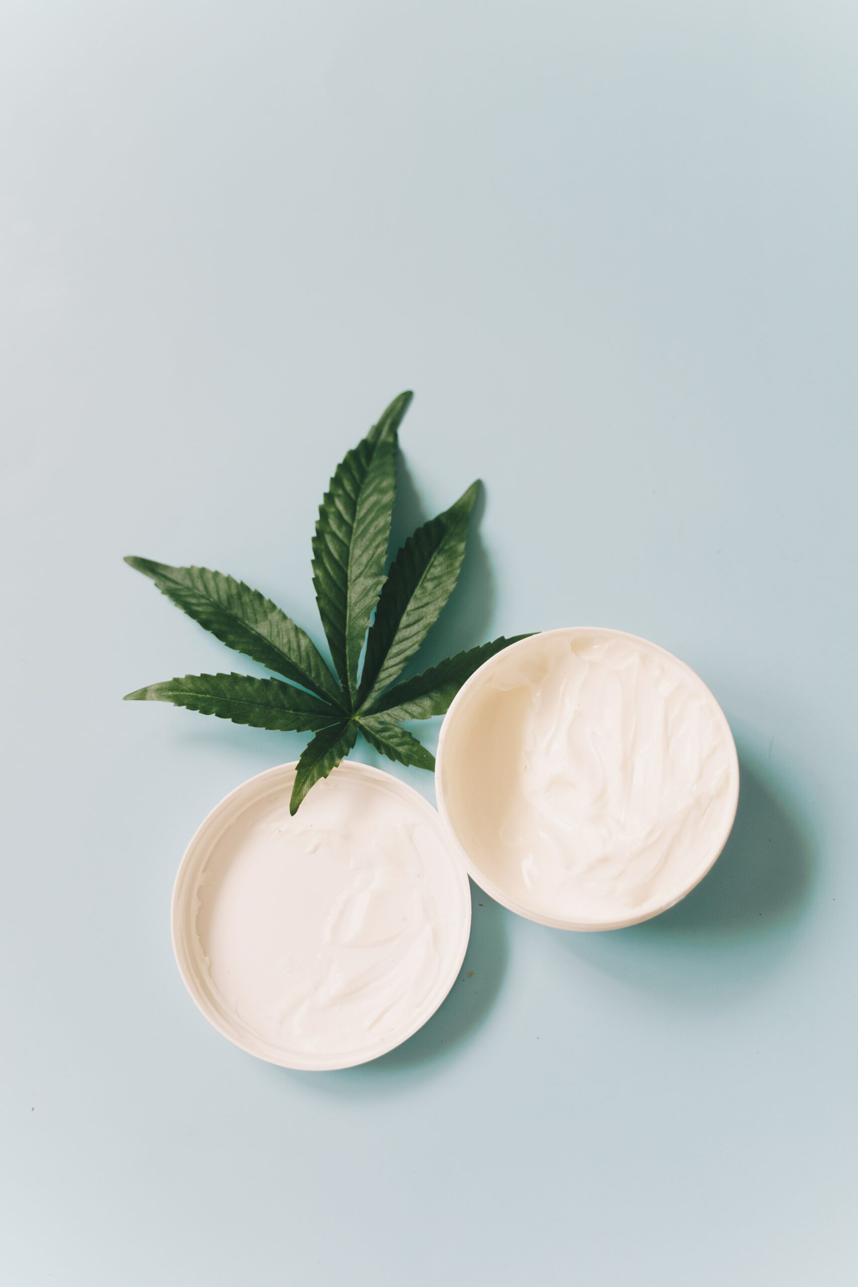 buy cbd salve