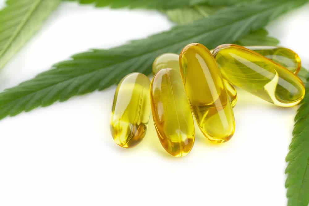 CBD Oil or CBD Capsules?