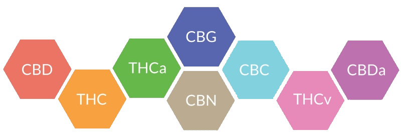 Classes of cannabinoids : CBD vs. CBG