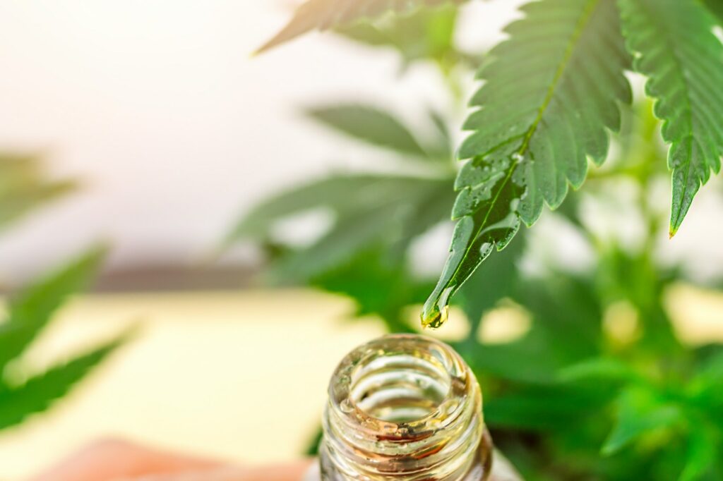 Buy CBD Oil in Vermont