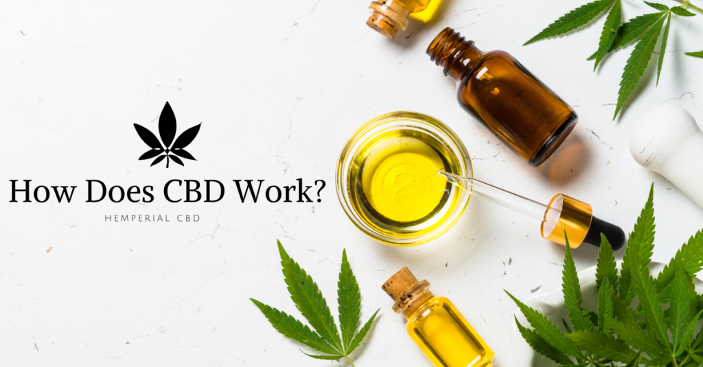 how does cbd work