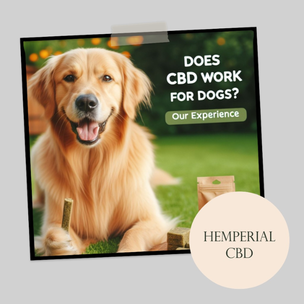 Do cbd treats work for dogs