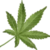 cutout-cannabis-leaf-simplicity-watercolor-painting-free-png